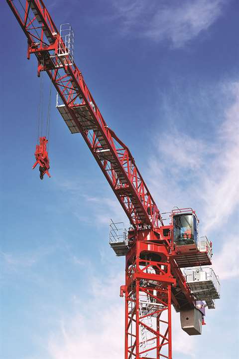 Long range image of the Potain MDT 489 tower crane